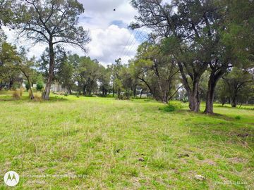 Quinta campestre en venta en Yauhquemehcan
