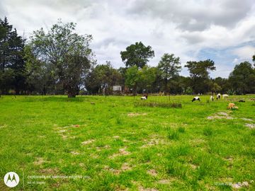 Quinta campestre en venta en Yauhquemehcan