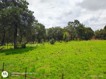 Quinta campestre en venta en Yauhquemehcan