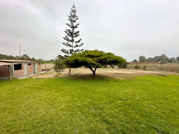 CASA COMO TERRENO EN PACHACAMAC , JATOSISA, 2617M2