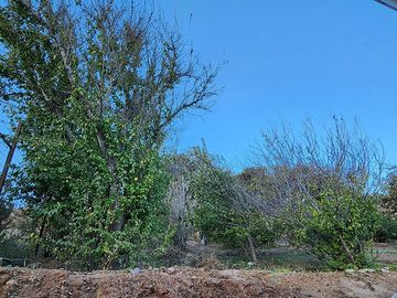 Casa en venta pueblo de Pelicana Valle del Elqui