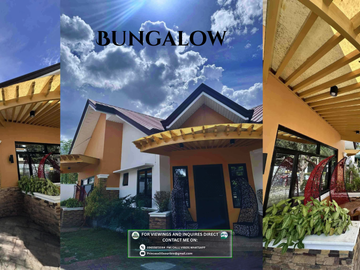 Corner Lot Dual Houses for SALE! (Bungalow & 2-Storey villa type) located in a Secured Village, San Fernando Pampanga!