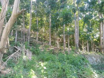 HOUSE AND LOT FOR SALE IN SAN JUAN, SIQUIJOR SIQ00167