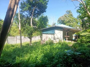HOUSE AND LOT FOR SALE IN SAN JUAN, SIQUIJOR SIQ00167