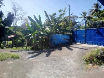 HOUSE AND LOT FOR SALE IN SAN JUAN, SIQUIJOR SIQ00167