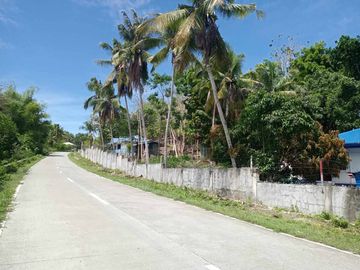 HOUSE AND LOT FOR SALE IN SAN JUAN, SIQUIJOR SIQ00167