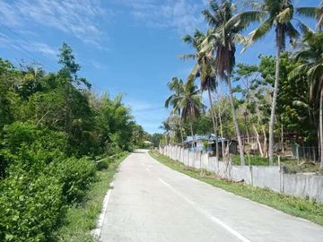 HOUSE AND LOT FOR SALE IN SAN JUAN, SIQUIJOR SIQ00167