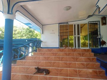 HOUSE AND LOT FOR SALE IN SAN JUAN, SIQUIJOR SIQ00167