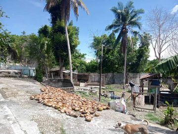 HOUSE AND LOT FOR SALE IN SAN JUAN, SIQUIJOR SIQ00167