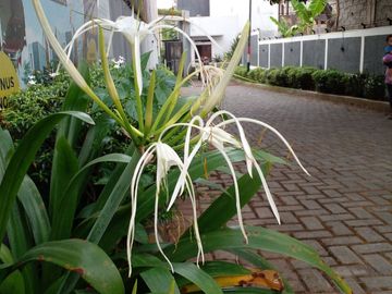 Rumah Dijual Siap Huni 2 Lantai Jatiasih Bekasi, Cluster Jual Murah