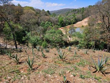 Venta de terreno frente al Parque Nacional KM23 Morelia, Michoacán