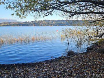 Excelente Parcela de 5.000 m² con Vista y Acceso a Playa – Lago Panguipulli