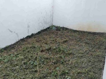 Rumah Dijual Murah Purwakarta Jawa Barat Perumahan Baru Butuh Uang Siap Huni Dekat Tol Sadang Jual
