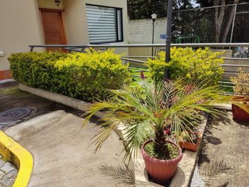 Departamento amplio en venta kennedy Santa Lucia