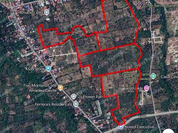300sqm Farmlot for Sale in Amadeo Cavite
