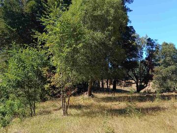 Parcelas cercanas a Villarrica