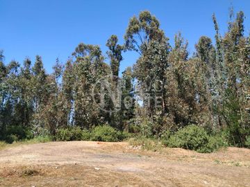 TERRENO PARA DESARROLLO INDUSTRIAL EN SECTOR ALTO DEL PUERTO