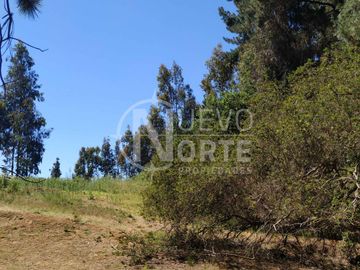 TERRENO PARA DESARROLLO INDUSTRIAL EN SECTOR ALTO DEL PUERTO