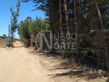 TERRENO PARA DESARROLLO INDUSTRIAL EN SECTOR ALTO DEL PUERTO