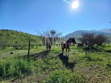 TERRENO CON VISTA HACIA CANCHA DE GOLF