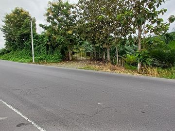 SE VENDE FINCA DE PALMA AFRICANA EN PRODUCCIÓN, 95 HAS. VICHE - QUININDÉ - ESMERALDAS - ECUADOR