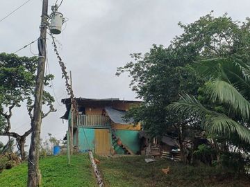 SE VENDE FINCA DE PALMA AFRICANA EN PRODUCCIÓN, 95 HAS. VICHE - QUININDÉ - ESMERALDAS - ECUADOR