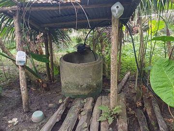 SE VENDE FINCA DE PALMA AFRICANA EN PRODUCCIÓN, 95 HAS. VICHE - QUININDÉ - ESMERALDAS - ECUADOR