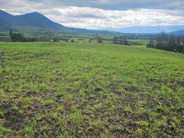 Hacienda Ganadera de venta en Aloag
