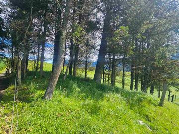 Hacienda Ganadera de venta en Aloag