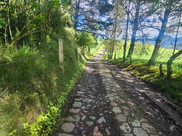 Hacienda Ganadera de venta en Aloag