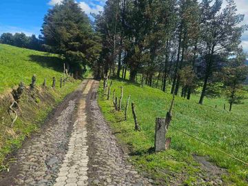 Hacienda Ganadera de venta en Aloag
