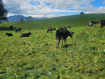 Hacienda Ganadera de venta en Aloag