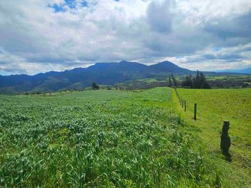 Hacienda Ganadera de venta en Aloag