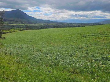 Hacienda Ganadera de venta en Aloag
