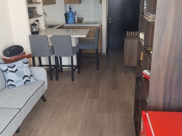 Depto. nuevo, 1 dormitorio, 1 baño, terraza comuna Ñuñoa.