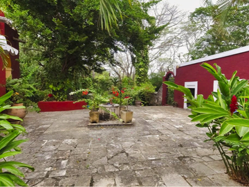 Hacienda Itzincab Palomeque...Entre naturaleza e historia