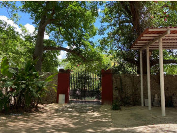 Hacienda Itzincab Palomeque...Entre naturaleza e historia