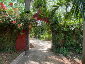 Hacienda Itzincab Palomeque...Entre naturaleza e historia