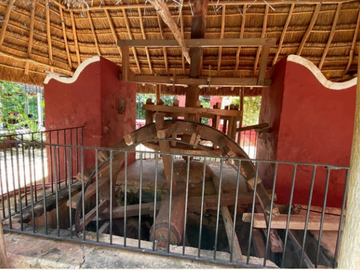 Hacienda Itzincab Palomeque...Entre naturaleza e historia