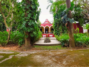 Hacienda Itzincab Palomeque...Entre naturaleza e historia