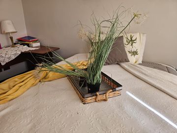 Casa en venta 3D Y 3 B en Piedra Roja Chicureo piscina y quincho