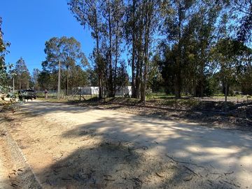 Se vende Parcela Algarrobo ,oferta ,  plana de 5000m2 en condominio Santa Maria