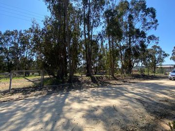 Se vende Parcela Algarrobo ,oferta ,  plana de 5000m2 en condominio Santa Maria