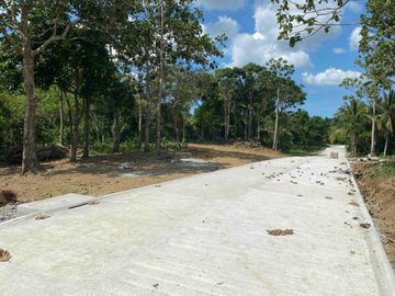 SELLING FAST. QUALITY RESIDENTIAL DEVELOPMENT, Amadeo, Cavite. Lots 240sqm to 800sqm.