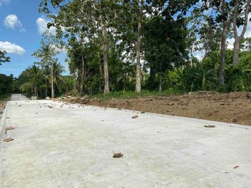 SELLING FAST. QUALITY RESIDENTIAL DEVELOPMENT, Amadeo, Cavite. Lots 240sqm to 800sqm.