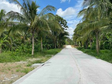 SELLING FAST. QUALITY RESIDENTIAL DEVELOPMENT, Amadeo, Cavite. Lots 240sqm to 800sqm.