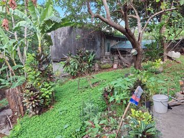 For Sale! 1,270 SQM Lot with Classic House Along Hibiscus Street, Beverly Hills Subdivision, Barangay Dolores, Taytay, Rizal