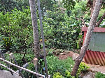 For Sale! 1,270 SQM Lot with Classic House Along Hibiscus Street, Beverly Hills Subdivision, Barangay Dolores, Taytay, Rizal
