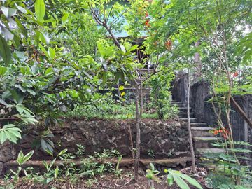 For Sale! 1,270 SQM Lot with Classic House Along Hibiscus Street, Beverly Hills Subdivision, Barangay Dolores, Taytay, Rizal