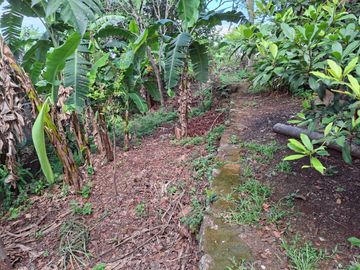 For Sale! 1,270 SQM Lot with Classic House Along Hibiscus Street, Beverly Hills Subdivision, Barangay Dolores, Taytay, Rizal